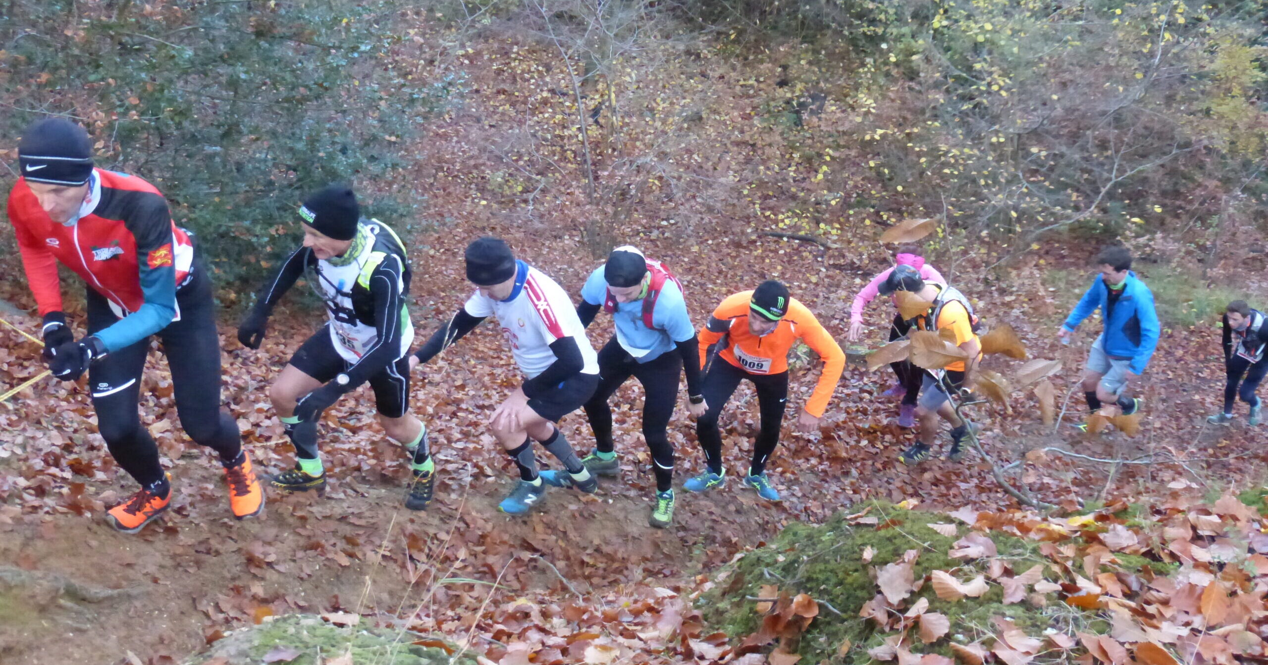 Le Retour Du Trail Du Rouvray Ville De Saint Tienne Du Rouvray