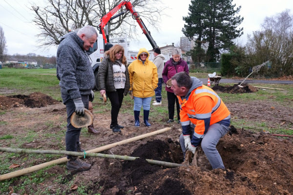 Plantations arbres fruitiers La Houssiere